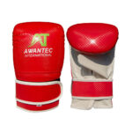 Boxing Mitt