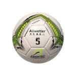 Soccer Balls