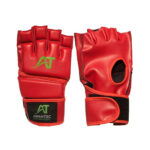 MMA Gloves